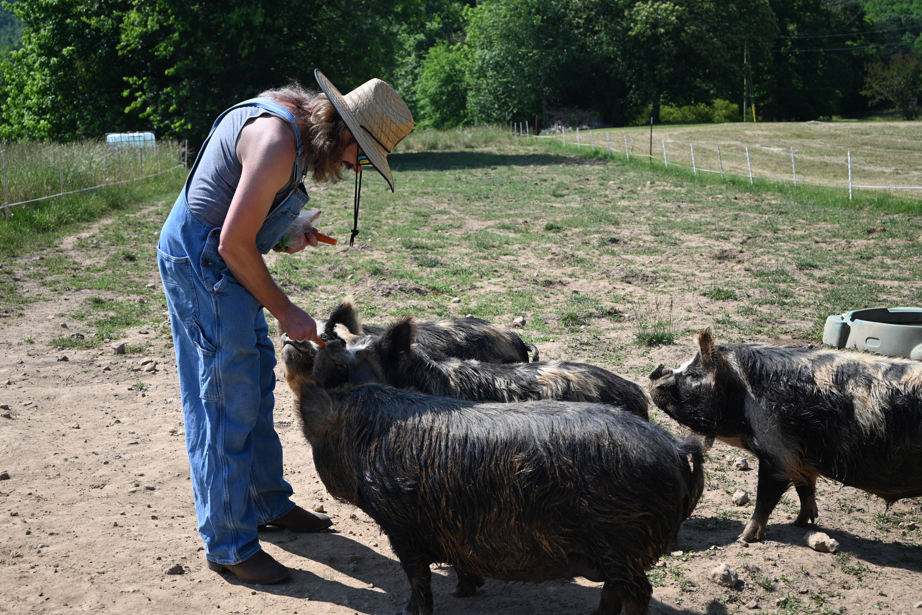 Grow and Flow, Jeremy's farm and movement studio in Tellico Plains